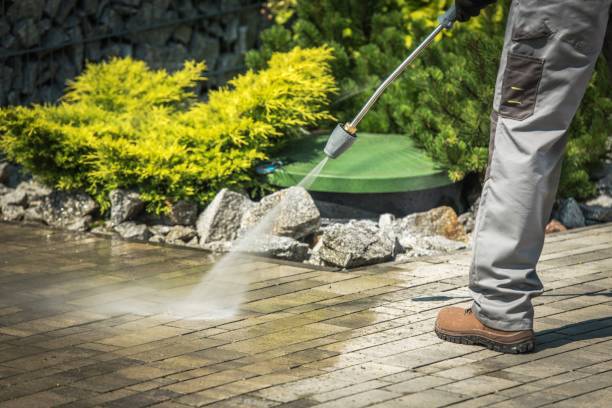 Best Pre-Holiday Cleaning  in Mart, TX
