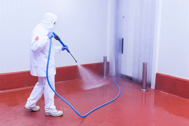 Best Graffiti Removal  in Mart, TX